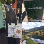Aspen Colorado